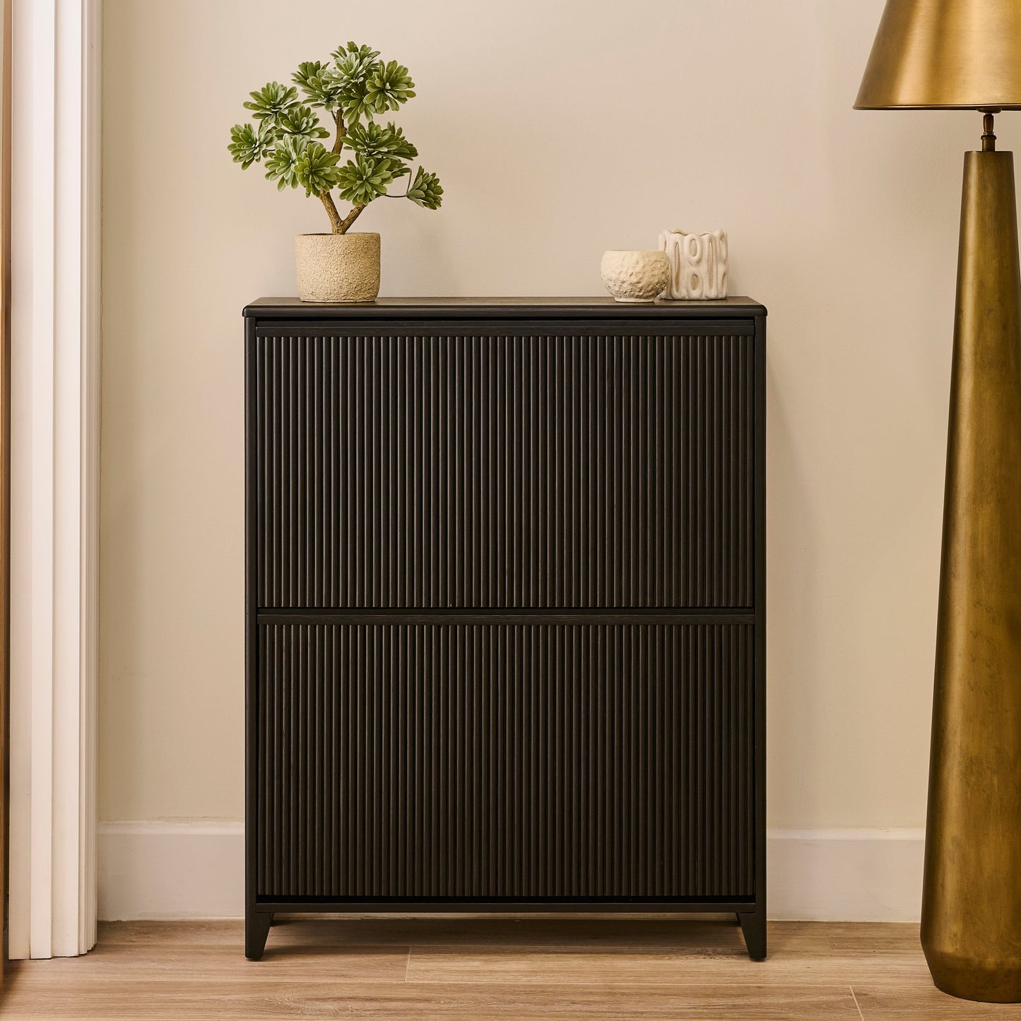 Raleigh 2 Door Shoe Cabinet - Black