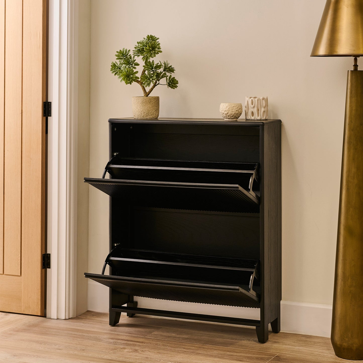 Raleigh 2 Door Shoe Cabinet - Black