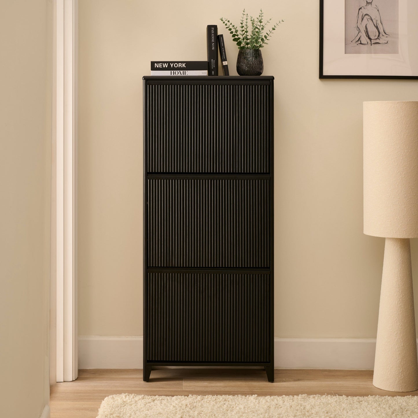 Raleigh 3 Door Shoe Cabinet - Black