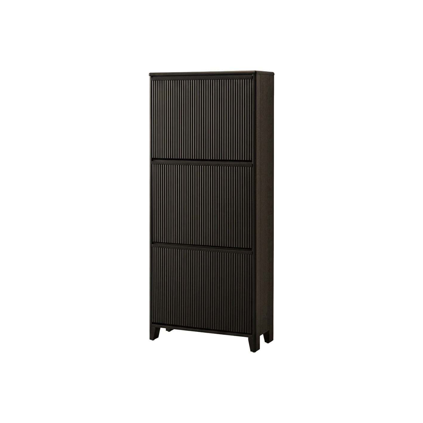 Raleigh 3 Door Shoe Cabinet - Black