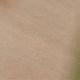 Whitewash Oak Swatch